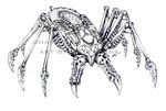 arthropod beast_wars black_and_white claws kaijusamurai line_art machine male mechanical monochrome multiple_eyes predacon solo spider tarantula tarantulas transformers 
