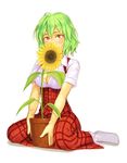  between_legs blush breasts cleavage covering_face flower flower_pot green_hair kazami_yuuka large_breasts no_shoes plaid plaid_skirt plaid_vest plant potted_plant red_eyes short_hair simple_background sitting skirt skirt_set socks solo sunflower touhou vest wariza white_background white_legwear yuuji_(and) 