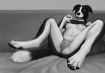  anatomically_correct_pussy animal_genitalia anthro black_and_white border_collie breasts camel_toe canine canine_pussy dog female greyscale mammal monochrome morticus nipples panties pussy solo spread_legs spreading underwear 