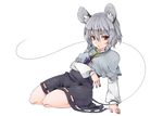  akagashi_hagane animal_ears bad_id bad_pixiv_id capelet grey_hair jewelry mouse_ears mouse_tail nazrin pendant red_eyes short_hair sitting solo tail touhou 