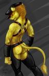  back back_turned butt chaps feline fur gloves hair hat leather leo_magna leo_magna_(artist) lion male mammal muscles solo standing tail tail_tuft topless tuft yellow_fur 
