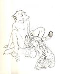  after_sex ambiguous_gender anthro ass_up balls canine cat duo feline from_behind interspecies knot lying male mammal on_front penis sketch tsareia wolf 