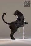  3d_(artwork) animal_genitalia anthro anus black_fur butt chair cosmiclife digital_media_(artwork) feline female feral fur hi_res mammal pantherine pinup pose pussy raised_tail realistic semi-anthro solo stool valencia whiskers 