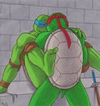  leonardo raphael tagme teenage_mutant_ninja_turtles 