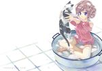  bare_shoulders barefoot bathing blue_eyes brown_hair cat hair_up holding_up indian_style naruse_chisato original sitting soap solo washtub water wet wet_clothes 