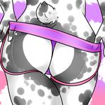  close-up girly jazminbunni jockstrap lagomorph lovelesskiax male mammal panties pink pink_clothing purple rabbit solo spots tail thong underwear 