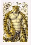  feline looking_at_viewer male mammal muscles solo tiger traditional_media unknown_artist watercolor_(art) watercolour 