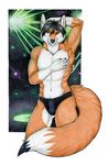  5_fingers alty anthro arm_behind_head black_hair black_nose brown_eyes bulge canine claws fox front fur gloves_(marking) hair korrok looking_at_viewer male mammal markings navel orange_fur pinup pose short_hair solo speedo standing swimsuit topless underwear 