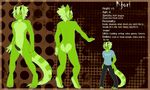  balls claws clothed clothing dragon green green_body green_hair hair hi_res horn hybrid kjori male mammal model_sheet penis red_panda solo spazzykoneko 