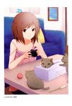  absurdres ball bare_shoulders blurry brown_eyes brown_hair camera camisole cat cat_teaser couch depth_of_field highres kitten nishiuri_warito non-web_source one_side_up original scan sitting smile solo strap_slip tissue_box 