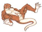  anthro anus balls butt erection kaputotter looking_at_viewer lying male mammal mustelid nude on_back otter penis presenting presenting_hindquarters sheath solo spread_legs spreading 