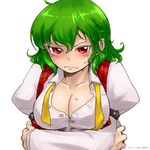  blush breasts cleavage embarrassed green_hair kazami_yuuka large_breasts oso_(toolate) red_eyes simple_background solo sweat touhou unbuttoned 