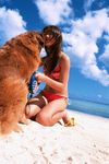  beach bikini dog flip-flops flipflops highres kamata_natsumi photo sandals swimsuit 