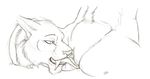  clitoris cunnilingus fangs feline female licking lynx male mammal nude oral oral_sex pussy sabertooth sex sketchkat sketchkat_(character) smilodon spread_legs spreading straight tiger tiggie tongue vaginal 