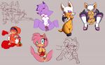  amy_rose blaze_the_cat knuckles_the_echidna rouge_the_bat shade_the_echidna sonic_team 