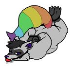  bondage bound chubby fully_bound gag male mammal overweight raccoon rainbow rainbow_tail solo 