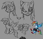  female feral freefox friendship_is_magic hair horse mammal multi-colored_hair my_little_pony pegasus pony purple_eyes rainbow_dash_(mlp) tail wings 