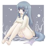  barefoot blue_eyes blue_hair breasts feet fish_girl fish_tail framed grey_background head_fins large_breasts leg_hug legs long_hair looking_at_viewer monster_girl open_mouth original panties pantyshot pantyshot_(sitting) pink_panties ryokuchaism seaweed sitting solo sweater tail underwear 