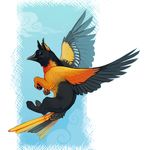  avian baltimore_oriole beak bird black black_feathers demicoeur feral flying gryphon orange orange_feathers oriole solo wings 