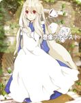  book cup hiiro jewelry kagerou_project kozakura_marry long_hair necklace petals red_eyes silver_hair solo souzou_forest_(vocaloid) tea tears very_long_hair vocaloid 
