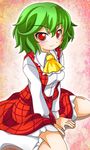  ascot green_hair kazami_yuuka open_clothes open_vest red_eyes shinjitsu shirt short_hair sitting skirt skirt_set smile solo touhou v_arms vest wariza 