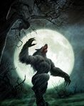  claws forest full_moon leaping male mammal martin_mckenna moon night nude scenery snarl snarling solo tree were werewolf wood 