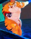  animal bara fangs furry guro highres muscle open_mouth red_eyes tiger 