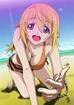  bikini charlotte dunois infinite stratos swimsuits 