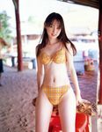  akiyama_rina beach bikini photo plaid swimsuit 