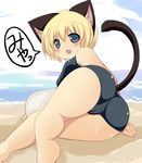  1girl animal_ears ass beach blonde blonde_hair blue_eyes cameltoe cat_ears cat_tail female green_eyes heterochromia hotaru-mia legs mimisuke_(mim'im) ocean one-piece_swimsuit open_mouth original outdoors short_hair solo summer sweat swimsuit tail 