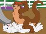  anthro cowgirl_position cub duo female jack_cottontail jake_cottontail katie_kirster lagomorph male mammal mustelid nude on_top one_eye_closed open_mouth otter preteen public quiet269 rabbit sex straddling straight tongue young 