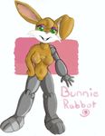  buckteeth bunnie_rabbot cyborg female green_eyes lagomorph mammal nipples nude pussy rabbit smile solo the-dragon-girl 
