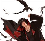  bird black_hair brown_hair feathers headband looking_up luke_uehara male_focus naruto naruto_(series) raven_(animal) red_eyes sharingan simple_background solo uchiha_itachi white_background 