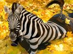  autumn blouse chipsss clothing ears edit equine eyelashes female hooves leaves looking_at_viewer lying mammal pants photo_manipulation photomorph photoshop real realistic stripes strips tail transformation zebra 
