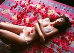  bed bra hoshino_aki lingerie panties petals photo rose_petals side-tie_panties underwear 