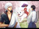  animal black_hair dog double_bun female frame gintama glasses hair_buns kagura_(gintama) male orange_hair sadaharu sakata_gintoki shimura_shinpachi short_hair sudoru white_hair 