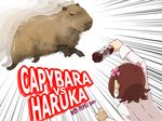  afterimage amami_haruka animal battle bottle brown_hair capybara dani-ikapi emphasis_lines hair_ribbon idolmaster idolmaster_(classic) pepsi ribbon short_hair vs 