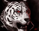  black_nose darksilver feline fur male mammal markings open_mouth red_eyes solo tiger white_fur white_tiger 