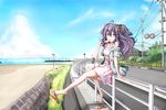 ahoge bangs bare_legs barefoot beach building cat_hair_ornament cloud day drawstring dress eating fence flip-flops flower food foot_dangle from_side full_body ground_vehicle hair_between_eyes hair_flower hair_ornament highres holding holding_food horizon jacket kuroneko_(fragrant_olive) long_hair looking_at_viewer motor_vehicle motorcycle no_socks ocean off_shoulder on_railing open_clothes open_jacket original outdoors outstretched_leg pink_dress pink_eyes plant popsicle power_lines purple_eyes purple_hair railing road road_sign sandals shoe_dangle shoes sign single_sandal single_shoe sitting sky sleeveless sleeveless_dress solo_focus spaghetti_strap sundress telephone_pole traffic_cone two_side_up water 