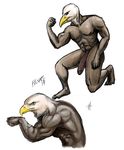  bald_eagle balls beak big_penis bird eagle edit falcon_mccooper male muscles penis pulsar solo 