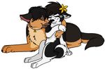  canine cuddle dog female german husky lesbian love shepherd 