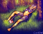  anthro candyfoxy female forest luxray nintendo pok&#233;mon pok&eacute;mon shiny sun tree video_games wood 