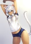  animal_ears arms_behind_head arms_up buruma cameltoe cat_ears cat_tail facial_mark final_fantasy final_fantasy_xiv low_twintails makimura_shunsuke messy_hair miqo'te short_hair slit_pupils solo tail twintails white_hair y'shtola_rhul 
