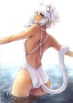  animal_ears ass cat_ears cat_tail facial_mark final_fantasy final_fantasy_xiv from_behind green_eyes looking_back makimura_shunsuke miqo'te one-piece_swimsuit outstretched_arms short_hair solo swimsuit tail wading water wet white_hair white_swimsuit y'shtola_rhul 