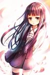  black_legwear brown_eyes dress flat_chest inu_x_boku_ss long_hair petals purple_hair sakura_ani shirakiin_ririchiyo solo thighhighs very_long_hair 