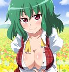 ascot breasts cleavage collarbone commentary day dress_shirt green_hair kazami_yuuka large_breasts looking_at_viewer masara outdoors red_eyes shirt short_hair smile solo touhou upper_body vest 