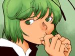  antennae face green_eyes green_hair hand_to_own_mouth hands lips onikobe_rin portrait solo touhou wriggle_nightbug 