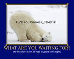  bear demotivational_poster draltaica polar_bear tagme 