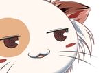  afy-all brown_eyes close-up fluffy half-closed_eyes mashiroiro_symphony pan-nya reaction_image solo tongue tongue_out whiskers 