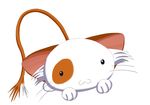  absurd_res all_fours beforethedaylight big_ears cat cute feline hi_res long_tail looking_at_viewer mammal mashiroiro_symphony pan-nya plain_background solo whiskers white_background 